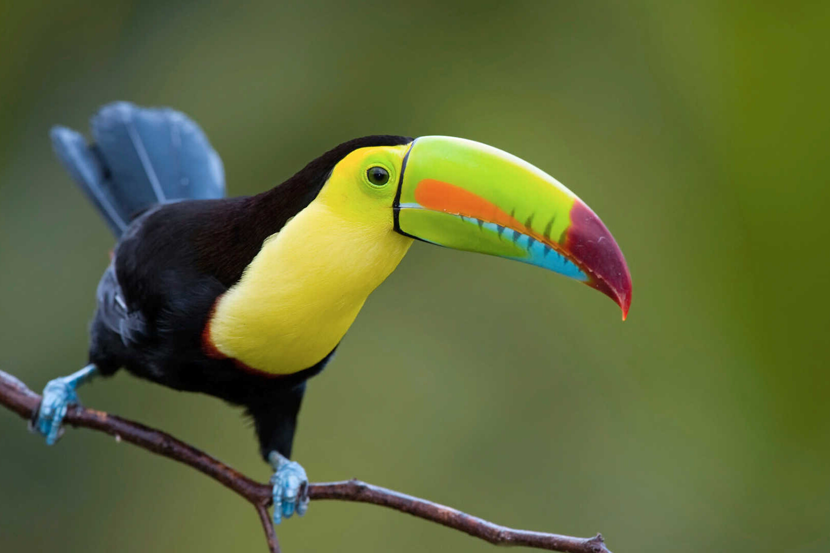 nicaragua school trip