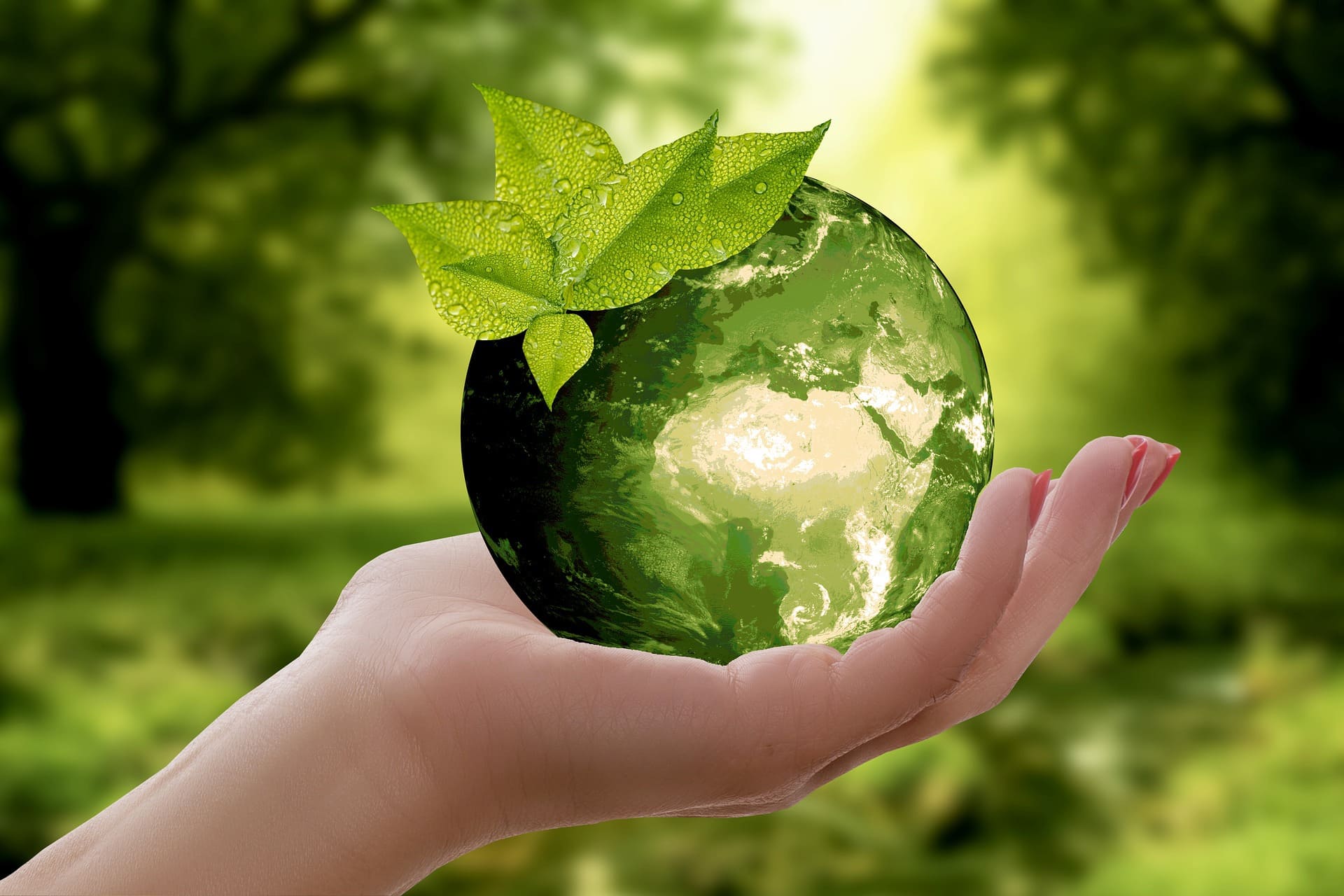Travelling Green