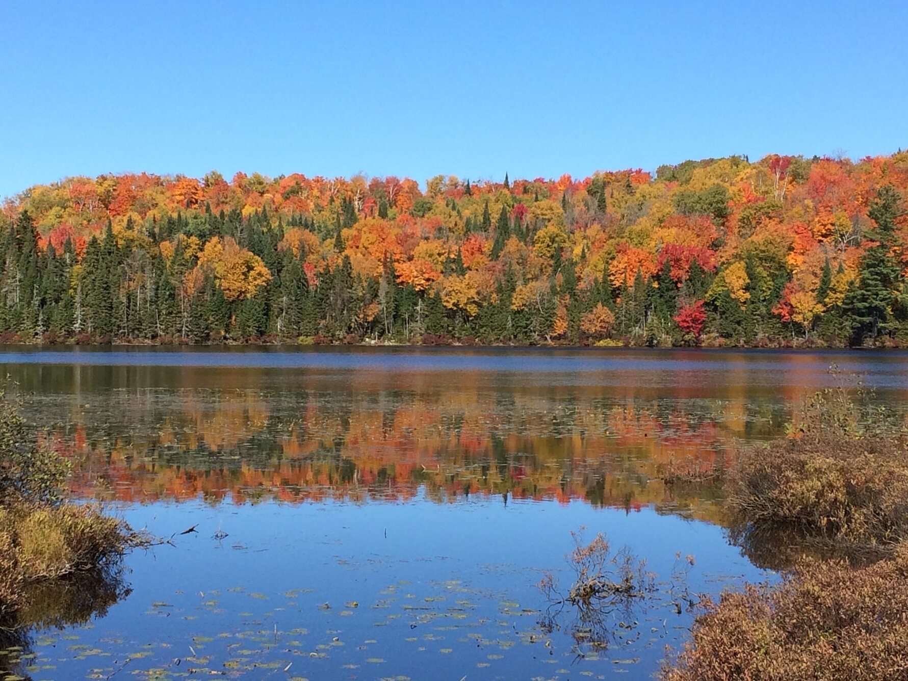 Autumn in Quebec