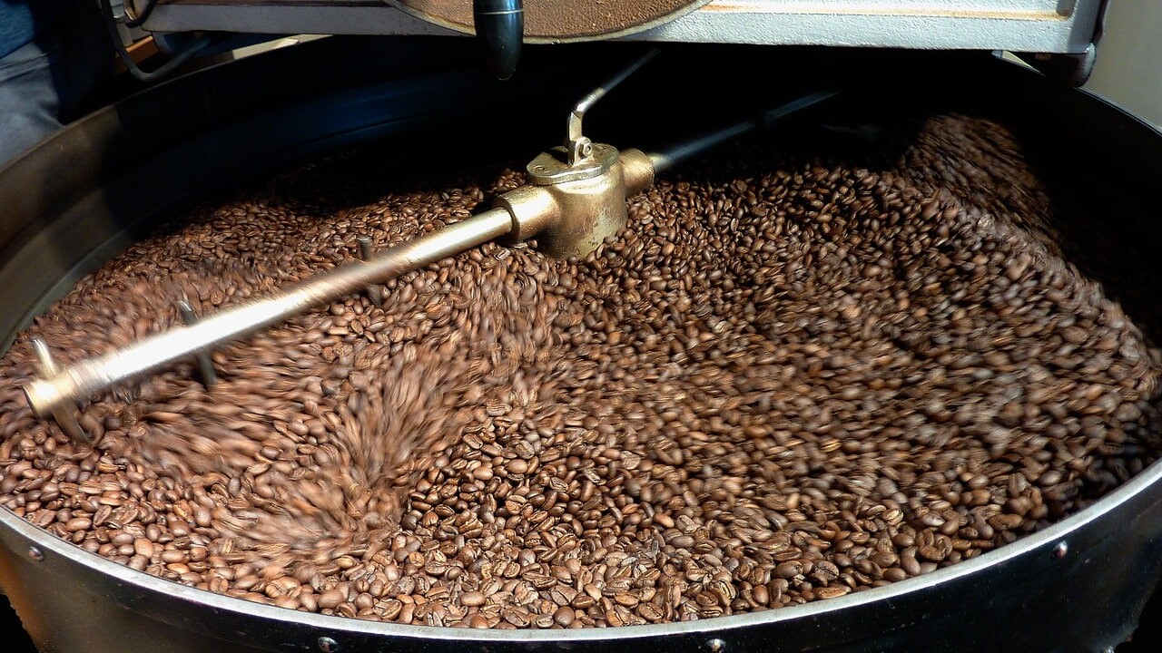 coffee beans in Costa Rica