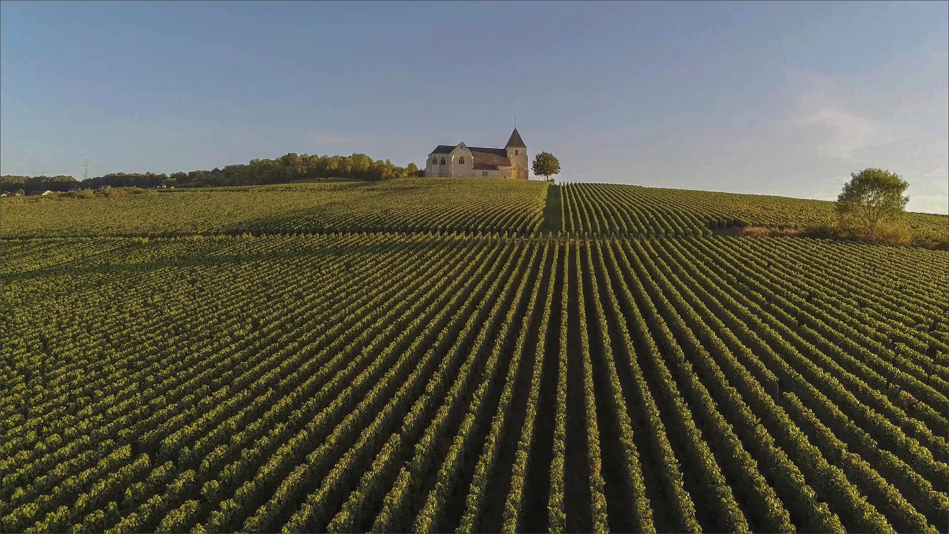 France, Champagne region.