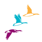 Official Favicon of Prometour Educational Tours
