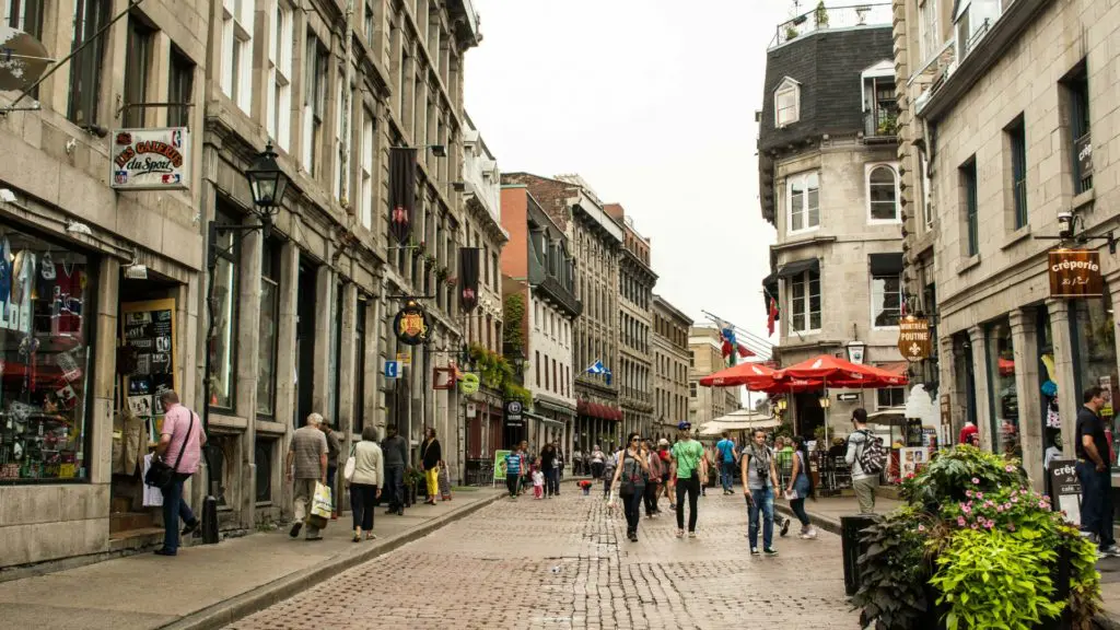 Spring blossoms line the cobblestone streets of Old Montreal, where heritage stone buildings and flowering trees create one of Canada's most charming urban scenes