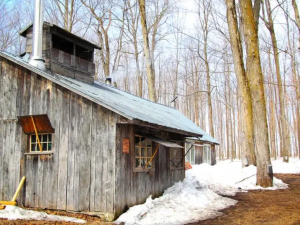 Quebec: French Immersion