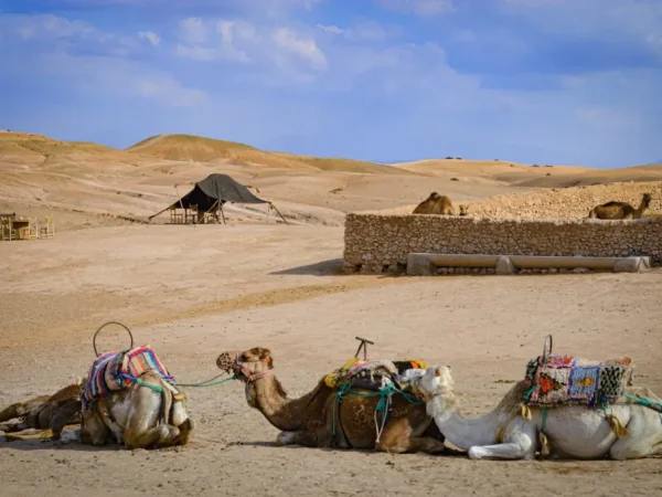Morocco: Highlights and Desert Adventure