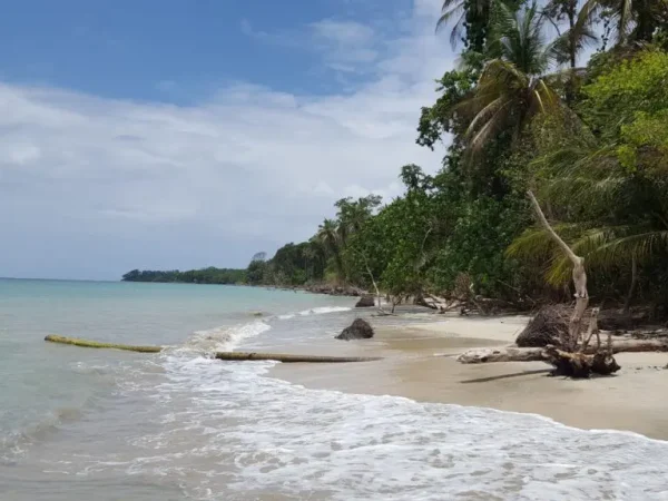 Costa Rica: Cultural Caribbean Tour