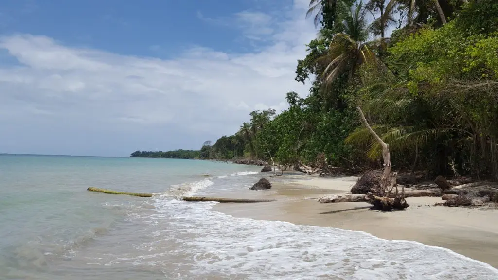 The pristine Caribbean shoreline of Cahuita National Park in Costa Rica, where jungle meets turquoise sea
