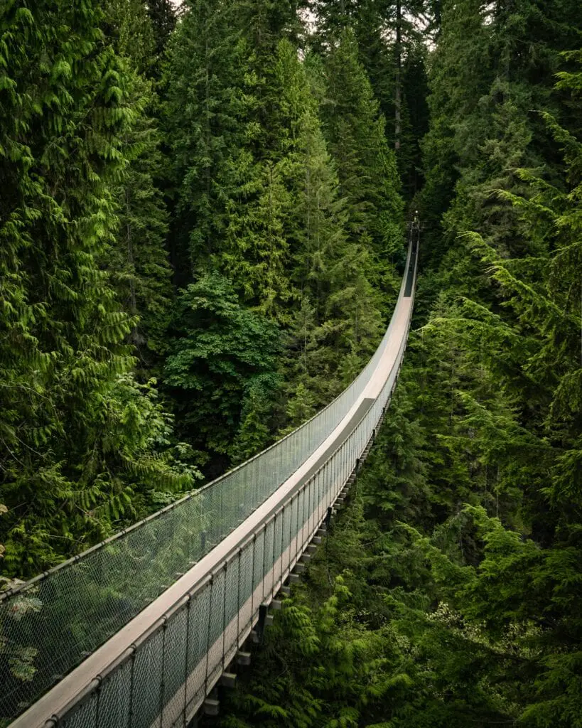 The Capilano Suspension Bridge disappears into the lush green canopy of North Vancouver's temperate rainforest, a thrilling walk above the canyon below