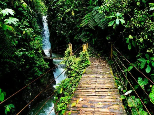 Ecuador: Wonders of the Amazon and Andes