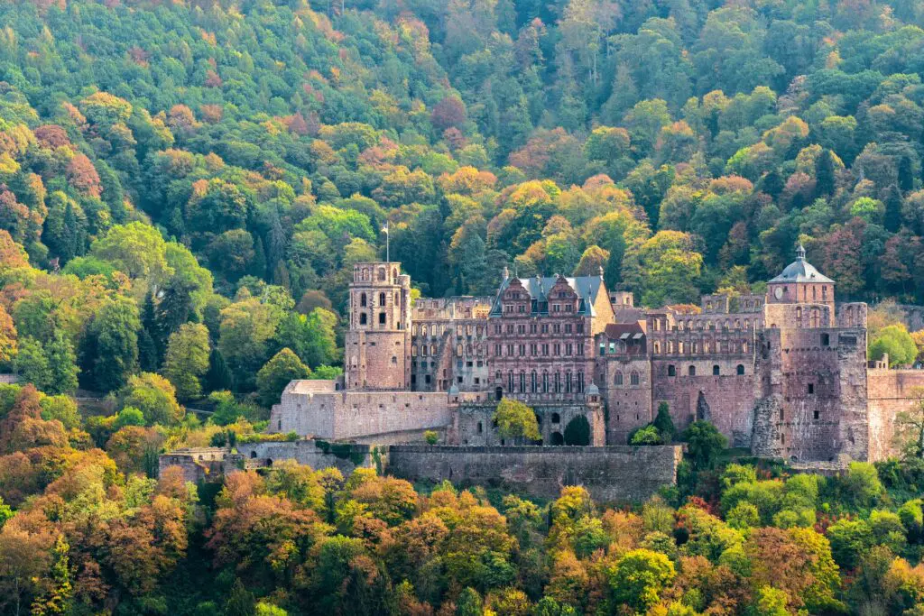 Heidelberg Castle sits embedded in a blaze of autumn forest above the Neckar valley, one of Germany's most romantic and storied ruins