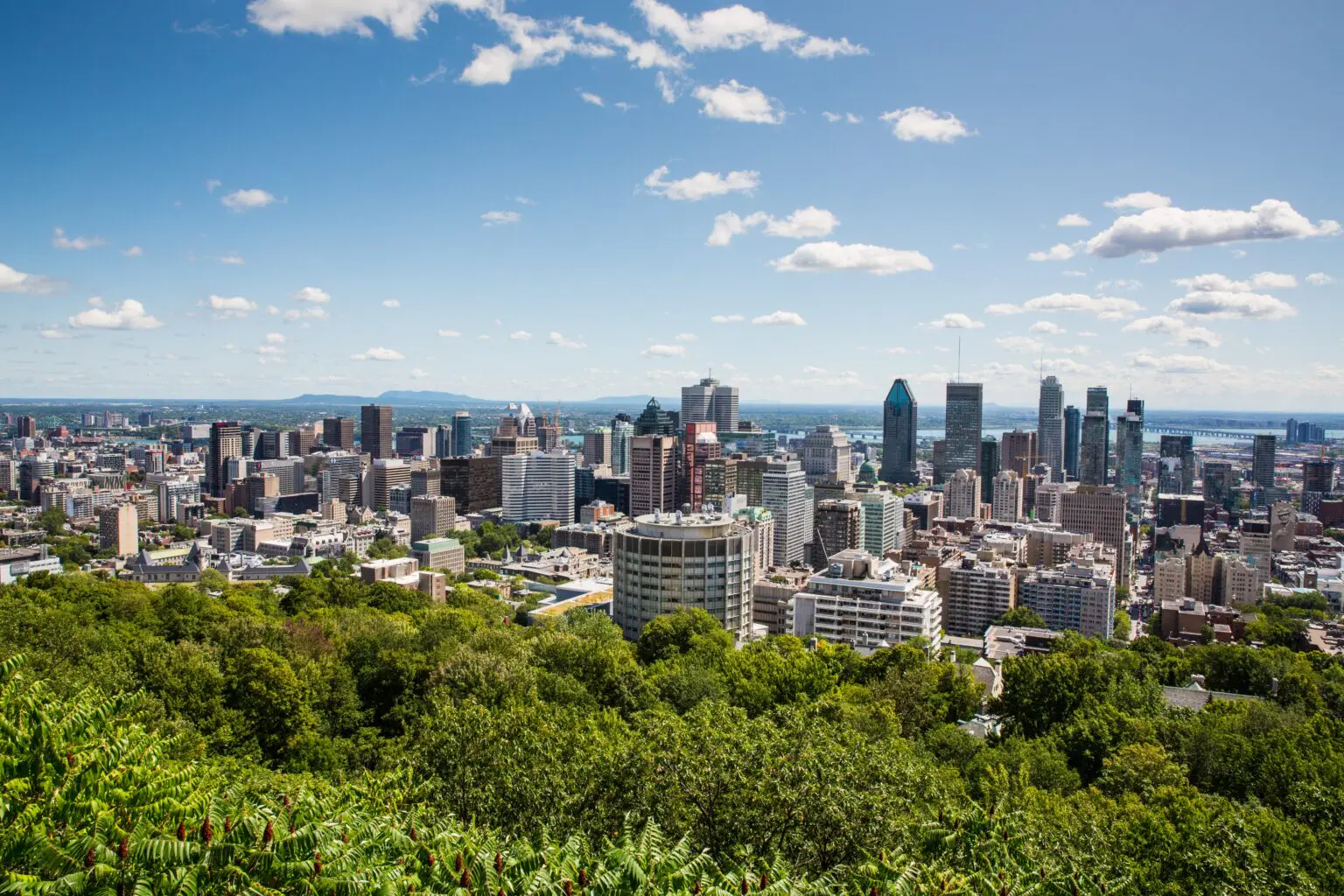 The Montreal skyline stretches to the horizon from the Mount Royal lookout, the city's most beloved elevated vantage point above the urban canopy