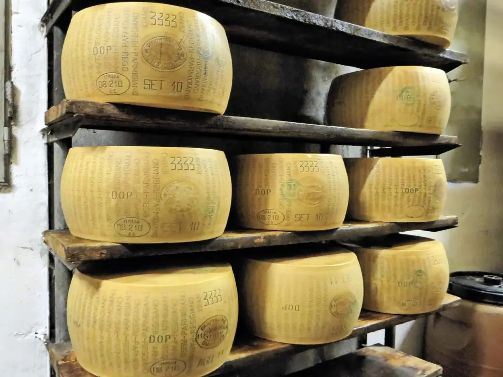 Parmigiano Reggiano wheels age in rows on wooden shelves in a Parma cheese cellar, maturing for up to 36 months before reaching Italian tables
