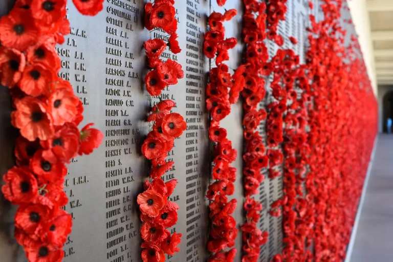 The 100th Anniversary of WWI Around the World