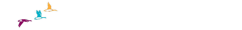 Image Effect